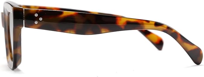 FEISEDY Classic Women Sunglasses Fashion Thick Square Sun Glasses Chunky Frame UV400 B2471