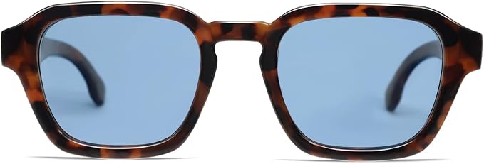 VANLINKER Retro Vintage Polarized Trendy Small Square Sunglasses for Women Men 2025 Fashion Shades VL9858