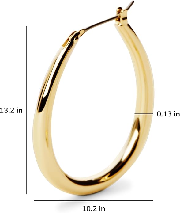Ana Luisa Hoop Earrings for Women - 14K Gold Plated & Silver Rhodium Plated Assorted Earring Styles - Dainty, Small Gold Hoop Earrings - Hypoallergenic Tarnish-Free Jewelry - Gifts for Women