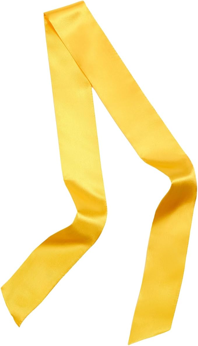 Solid Color Neck Scarf Purse Narrow Scarf Handbags Skinny Twill Hair Scarves Women Fashion Accessories Bag Charms
