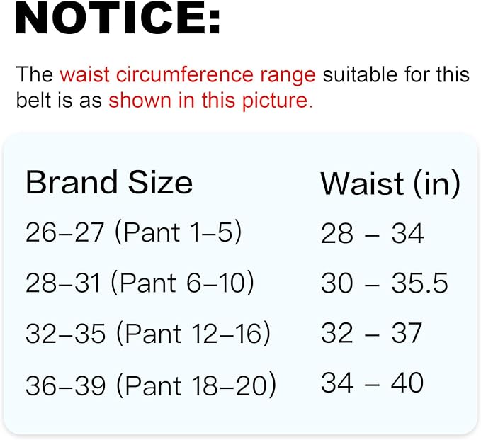 Women's Fashion Classic Metal Buckle Leather Belt with Jeans Dress