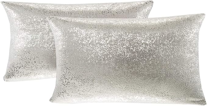 Set of 2 Throw Pillow Covers, Cushion Cases, Decorative Pillow Case, Slipover Pillowslip for Home Sofa Couch Chair Back Seat Bedroom Car, Invisible Zipper,12x20 inch(Silver- Light Gray)