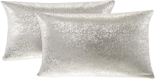 Set of 2 Throw Pillow Covers, Cushion Cases, Decorative Pillow Case, Slipover Pillowslip for Home Sofa Couch Chair Back Seat Bedroom Car, Invisible Zipper,12x20 inch(Silver- Light Gray)