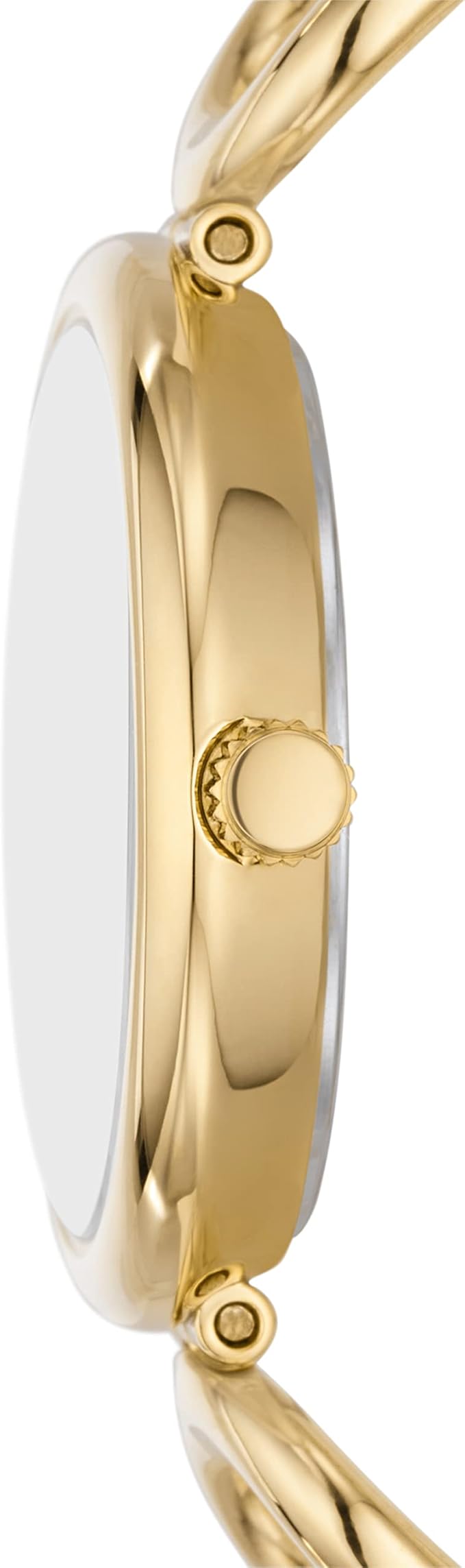 Fossil Women's Carlie Quartz Stainless Steel Three-Hand Watch