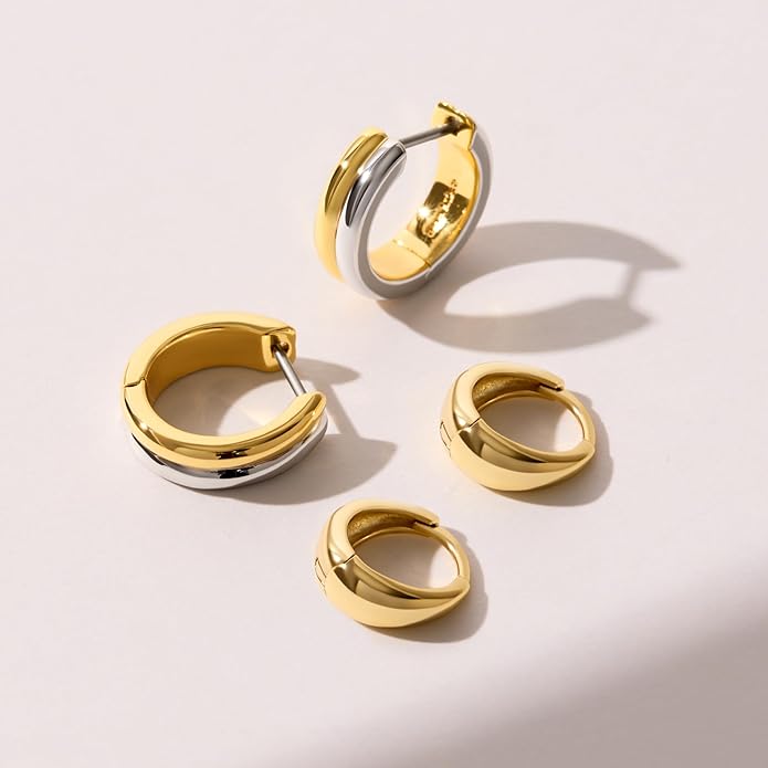 Ana Luisa Hoop Earrings for Women - 14K Gold Plated & Silver Rhodium Plated Assorted Earring Styles - Dainty, Small Gold Hoop Earrings - Hypoallergenic Tarnish-Free Jewelry - Gifts for Women