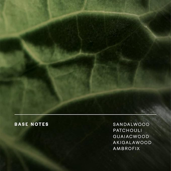 Future Society Grassland Opera Perfume - Rich Green Floral Eau de Parfum with Notes of Sage, Ginger, Ylang Ylang & Sandalwood - Luxury Perfume Inspired by Prairies - Modern Unisex Fragrance - 50ml