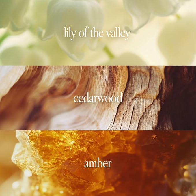 Noteworthy n,551 Amber Sunset Eau De Parfum – Lily of the Valley, Amber, Sandalwood | Sophisticated, Warm Fragrance for Any Occasion | Long-lasting Unisex Perfume for Women & Men (Travel+Refill)