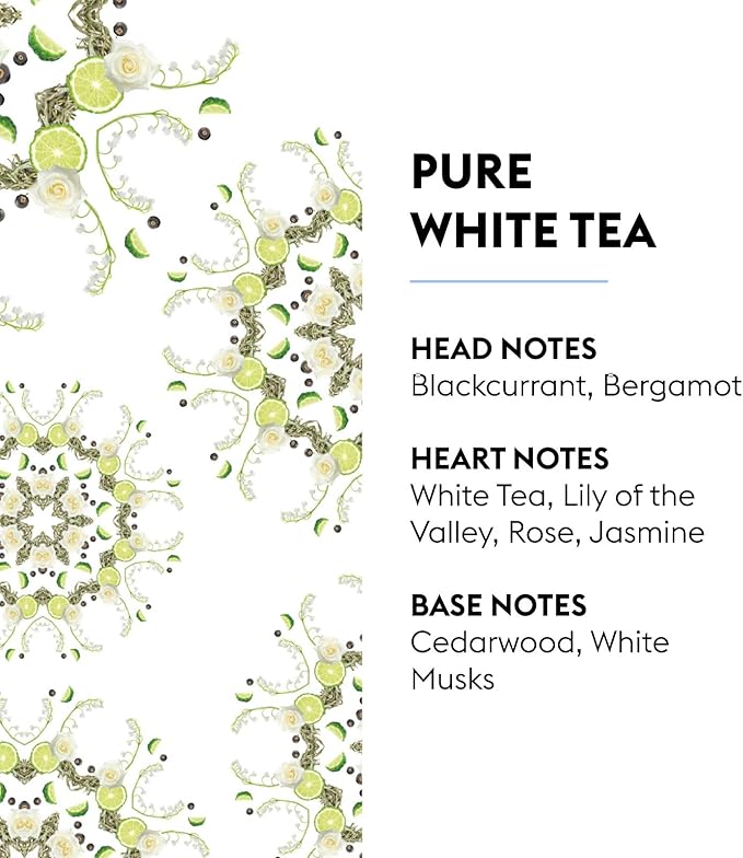 MAISON BERGER Pure White Tea Lampe Berger Refill, 500 ml (16.9 fl oz), 2-in-1 Catalytic System, Neutralizes Odors and Diffuses Fragrance, Blackcurrant, Bergamot, White Tea, Made in France