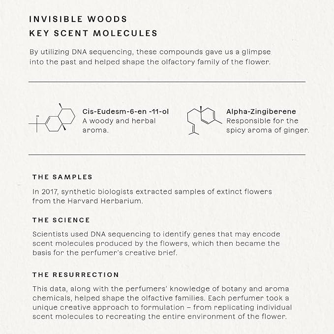 Future Society Invisible Woods Perfume - Rich Woody Floral Eau de Parfum with Notes of Eucalyptus, Grapefruit, & Rose - Luxury Perfume Inspired by India’s Bloom - Modern Unisex Fragrance - 50ml