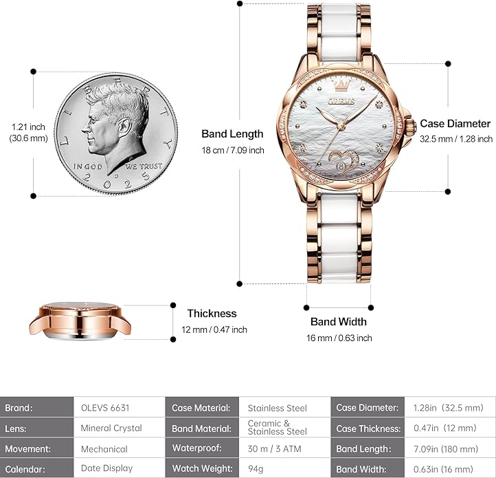 OLEVS Womens Automatic Watch, Premium Large Face Diamond Accented Self Winding Watches for Women, Fashion Waterproof Ladies Dress Watch, Two Tone Stainless Steel Ceramic Bracelet