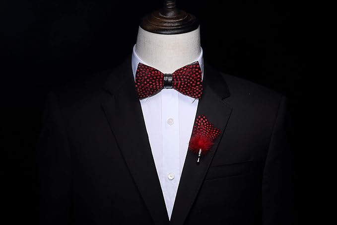RBOCOTT Handmade Feather Pre-tied Bow tie and Brooch Sets for Men