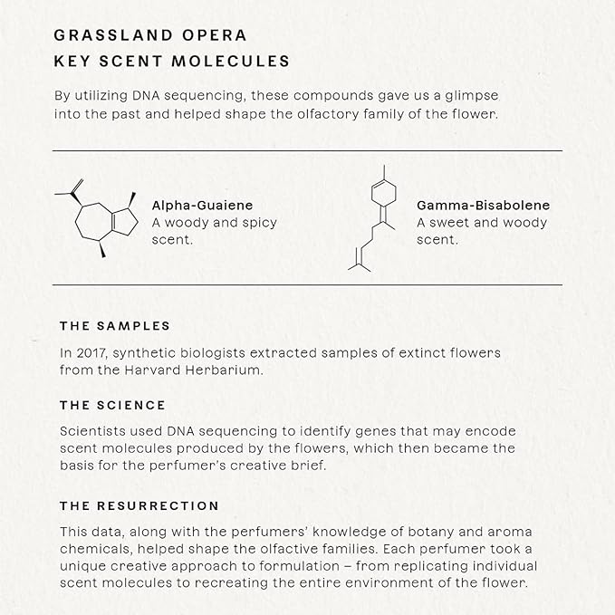 Future Society Grassland Opera Perfume - Rich Green Floral Eau de Parfum with Notes of Sage, Ginger, Ylang Ylang & Sandalwood - Luxury Perfume Inspired by Prairies - Modern Unisex Fragrance - 50ml