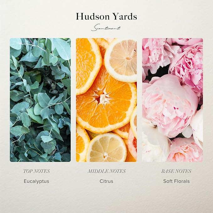 Scentiment Diffuser Oil - Hudson Yards | Aromatherapy Home Fragrance | Inspired by Equinox® Hotel | Luxurious Scent with Notes of Eucalyptus, Citrus, Soft Florals (50 mL)