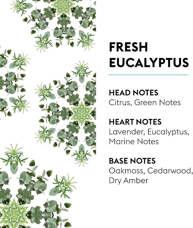 MAISON BERGER Fresh Eucalyptus Lampe Berger Refill, 500 ml (16.9 fl oz), 2-in-1 Catalytic System, Neutralizes Odors and Diffuses Fragrance, Citrus, Green Notes, Lavender, Eucalyptus, Made in France
