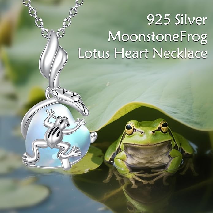 Moonstone Necklace for Women dragonfly Necklace 925 Sterling Silver Teardrop Moonstone Pendant Necklace Dragonfly Jewelry Gifts for Women