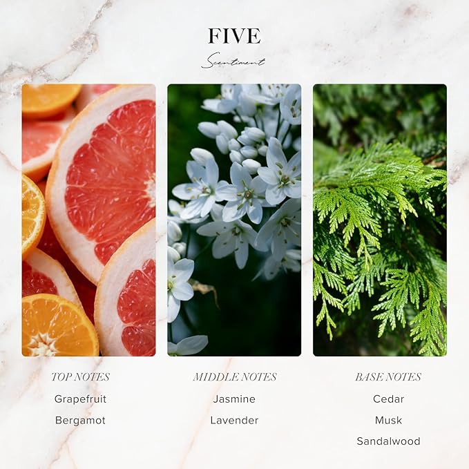 Scentiment Diffuser Oil - Five Designer Collection | Aromatherapy Home Fragrance | Luxurious Scent with Notes of Grapefruit, Lavender, Musk (50 mL)