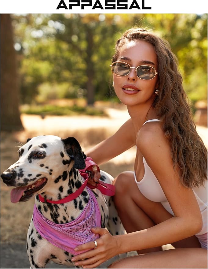 Retro Oval Sunglasses for Women Men Trendy Large Round Y2k Sunnies AP3681