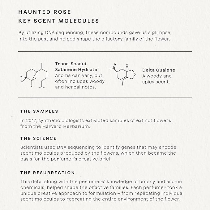 Future Society Haunted Rose Perfume - Rich Smoky Floral Eau de Parfum with Notes of Pepper, Rose, Amber & Sandalwood - Luxury Perfume Inspired by Africa's Flower - Modern Unisex Fragrance - 50ml