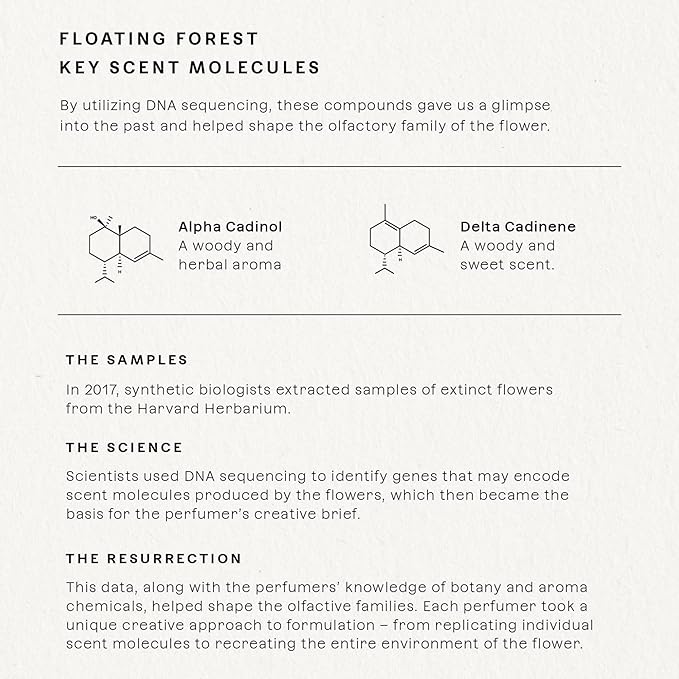 Future Society Floating Forest Perfume - Rich Aquatic Floral Eau de Parfum with Notes of Bergamot, Freesia, Rose & Mask - Luxury Perfume Inspired by Rainforests - Modern Unisex Fragrance - 50ml