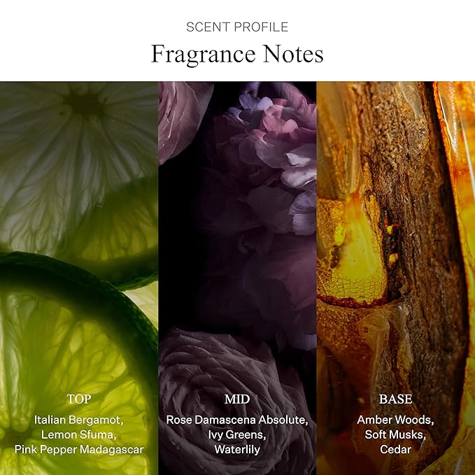 AllSaints Ravaged Rose Eau De Parfum - Floral & Fruity Perfume with Rose Fragrance - Intense Unisex Perfume with Amber & Woods - Rich Fragrance for Daytime Wear - 100mL/3.4 fl oz