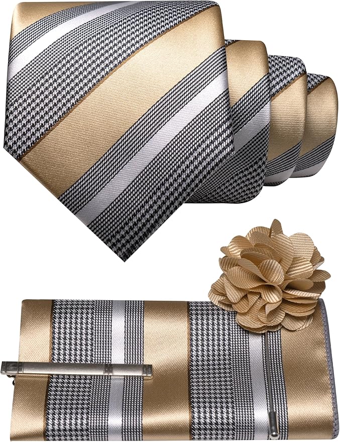 JEMYGINS Mens Striped Tie and Lapel Pin Necktie Pocket Square and Tie Clip Sets for Business Casual 4PCS